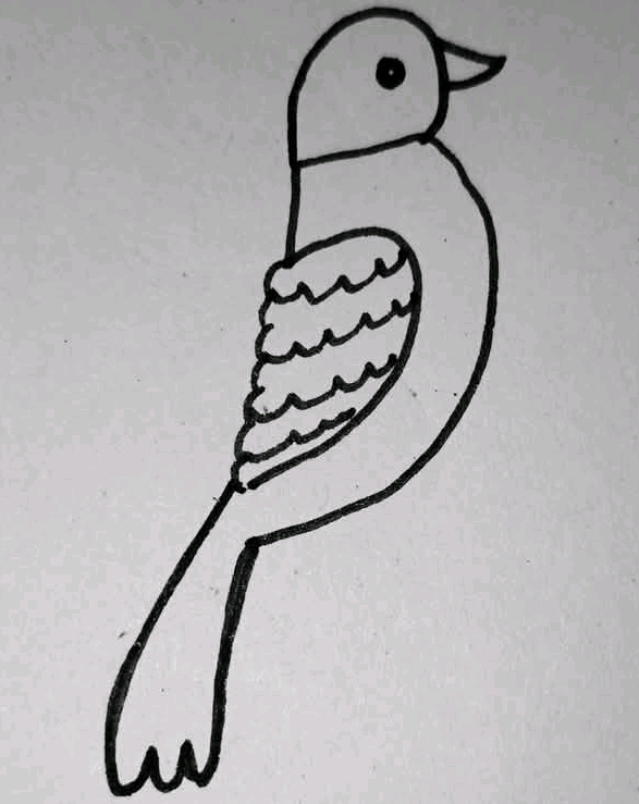 1752092653106_1.jpg