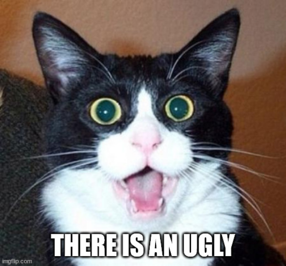 Screenshot 2022-11-03 at 17-33-59 Surprised cat lol Meme Generator - Imgflip.png