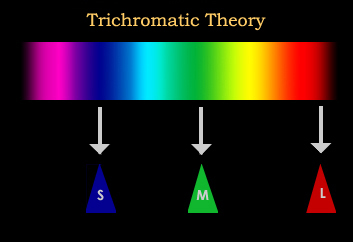 trichromatic.jpg
