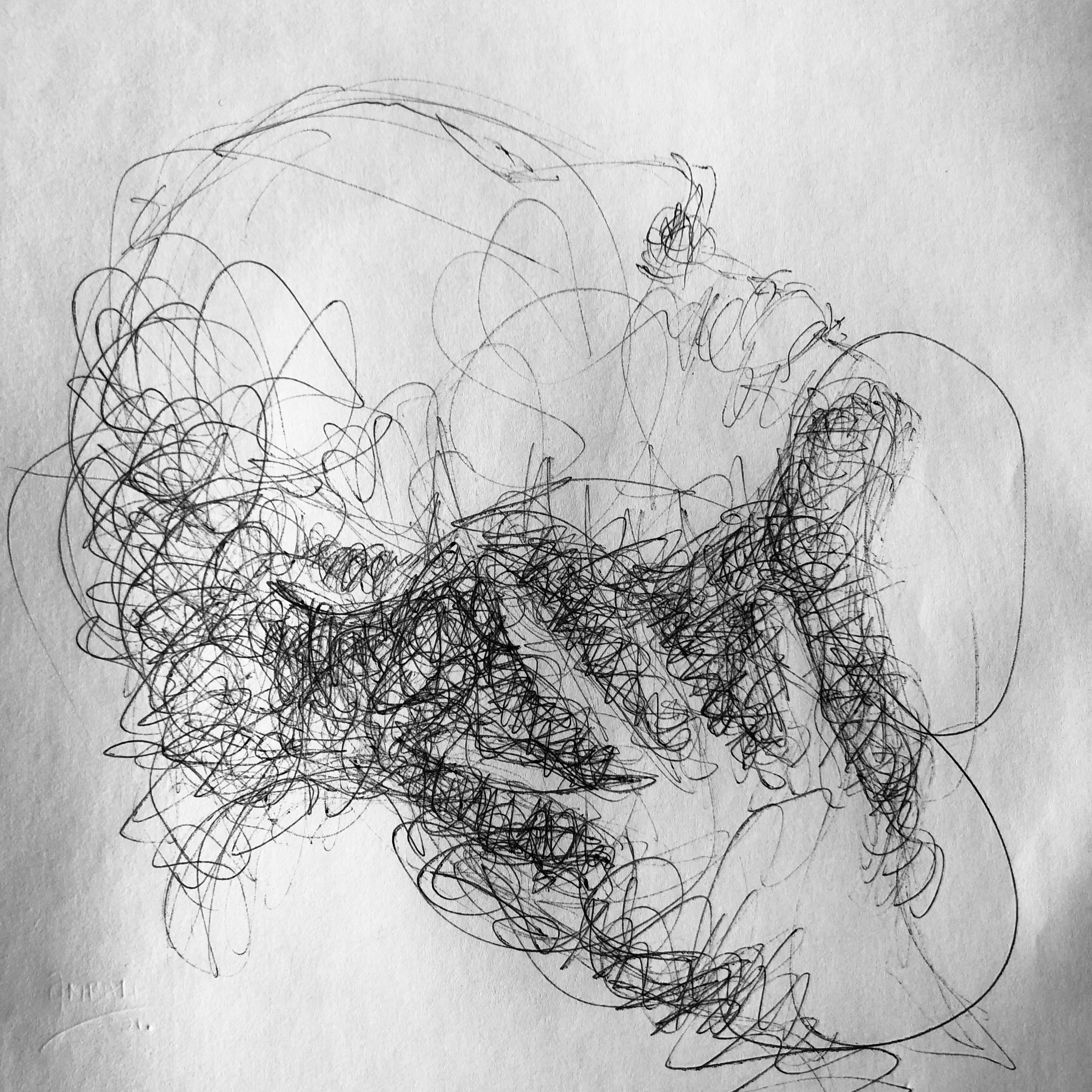 IMG_5407.jpeg