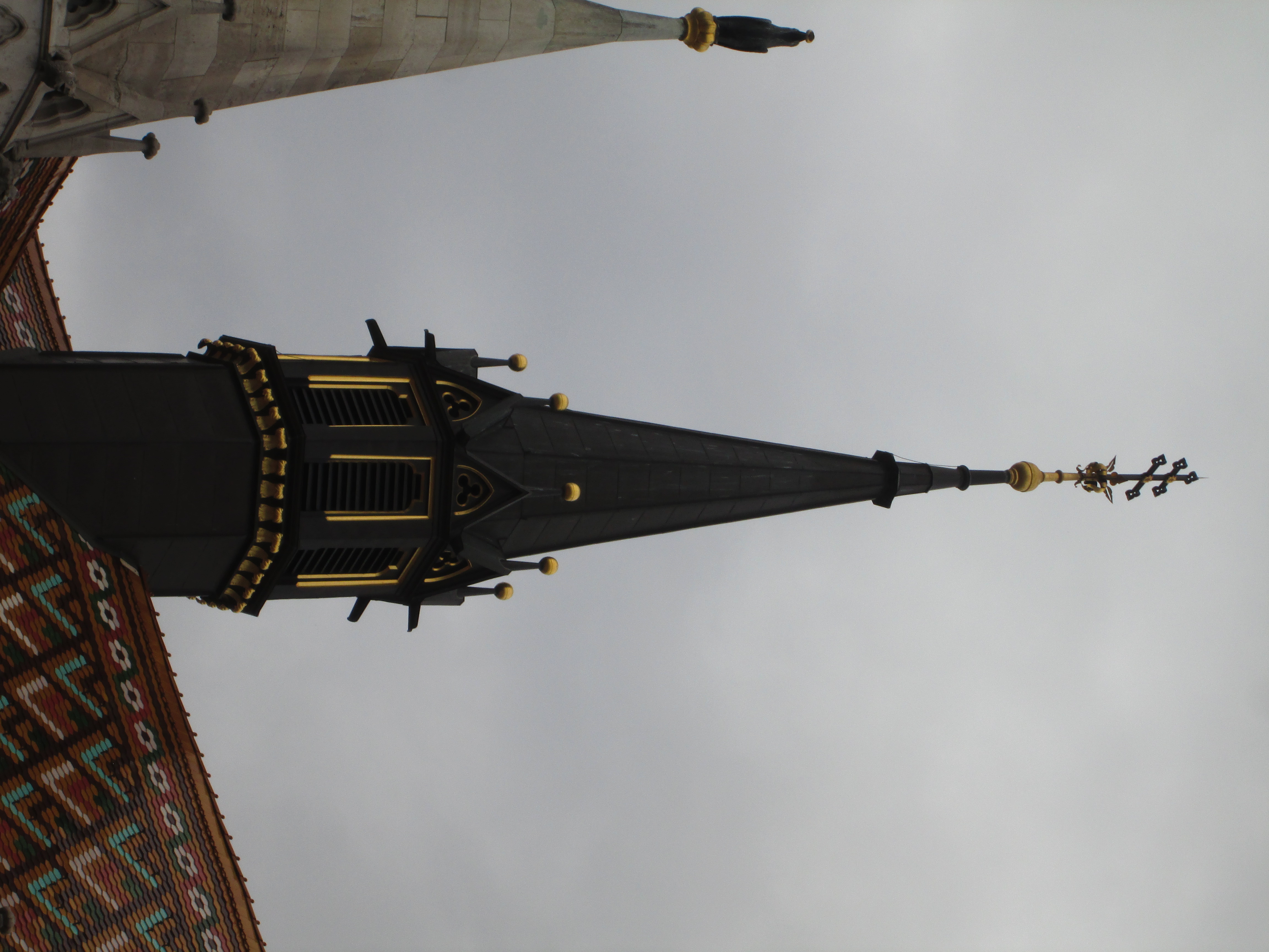 IMG_2945.JPG