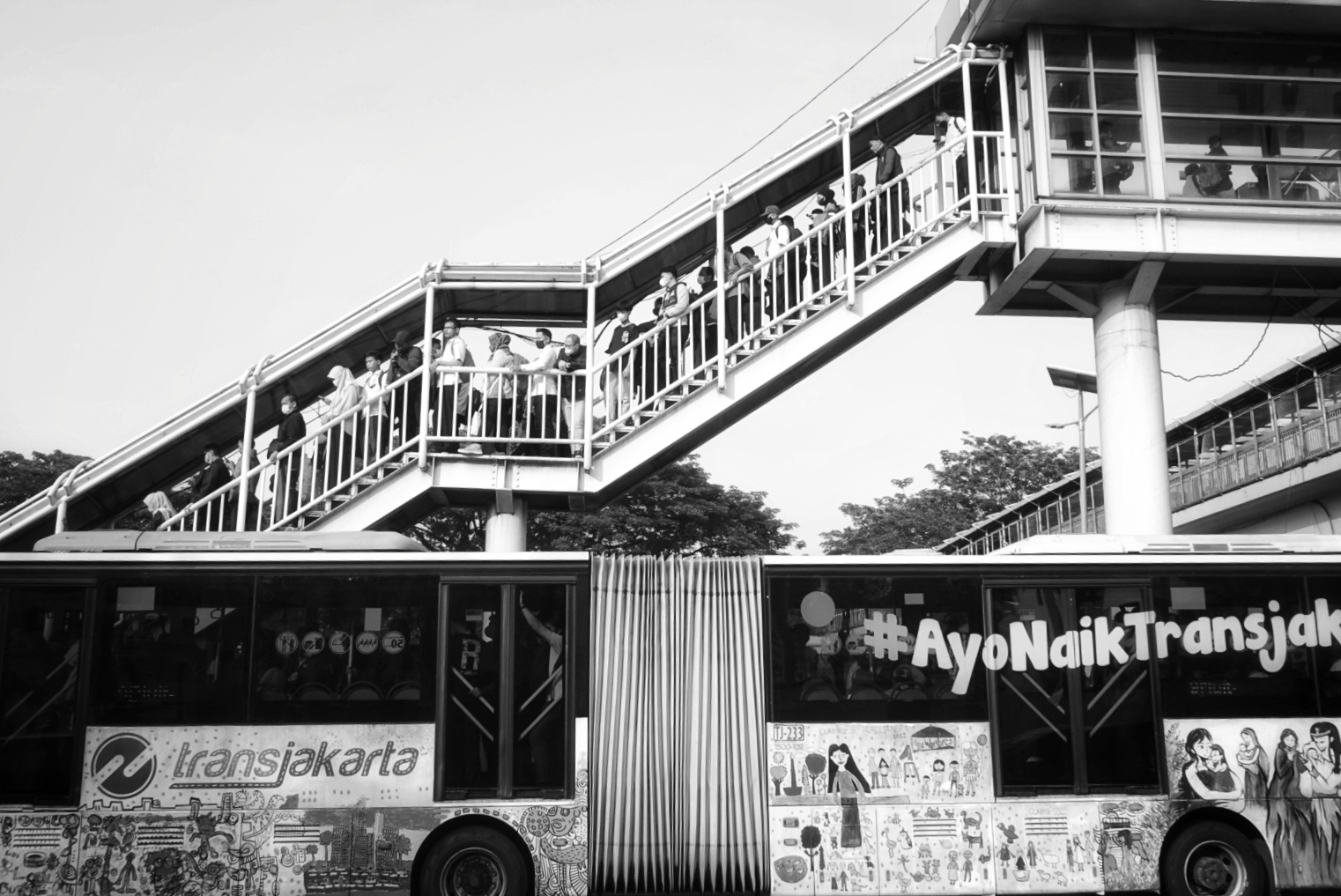DSC02692_1-01.jpeg