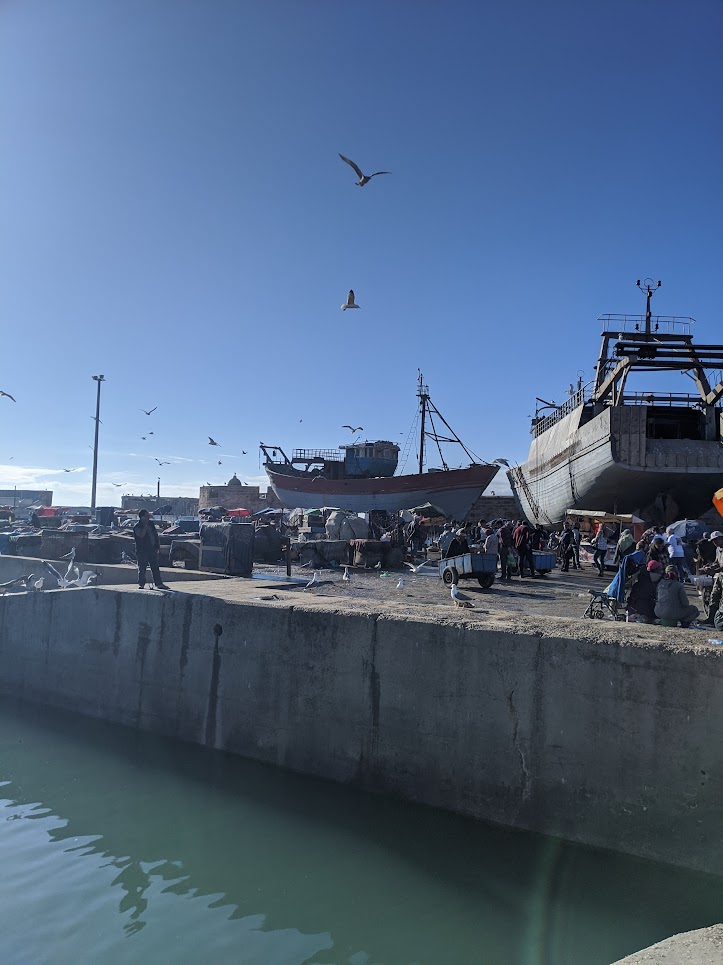 IMG_20191201_161016.jpg