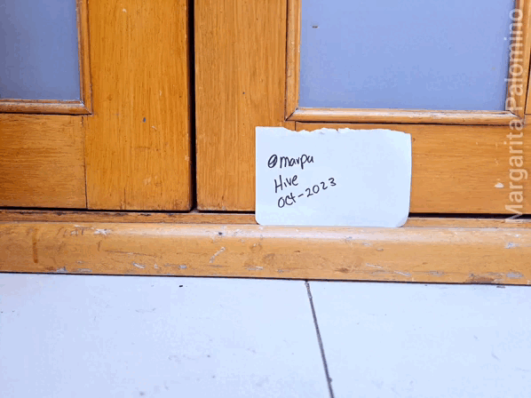 1000023796.gif