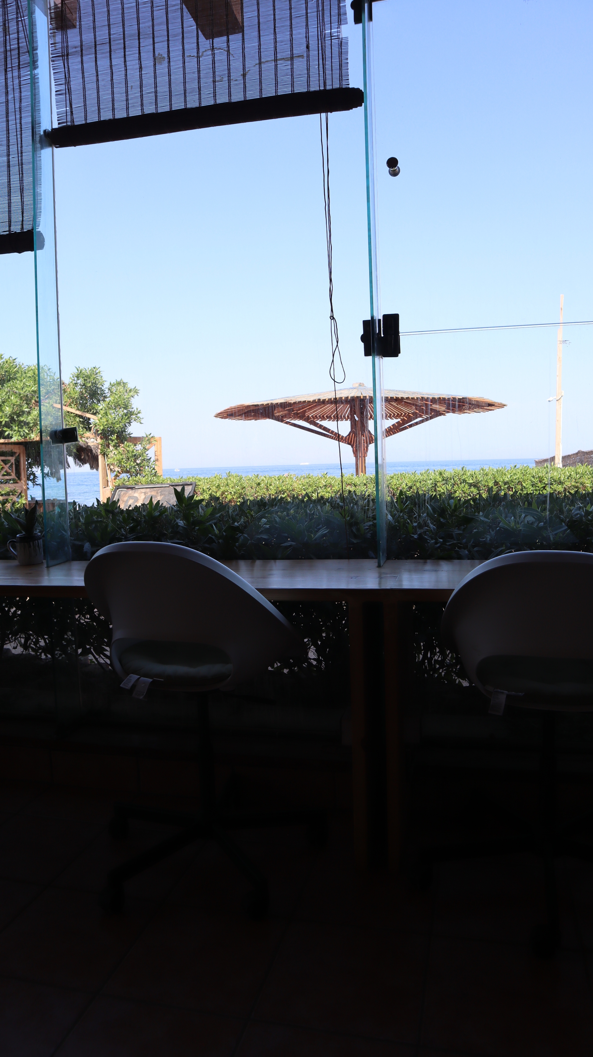 IMG_2698_copy_1891x3368.jpg