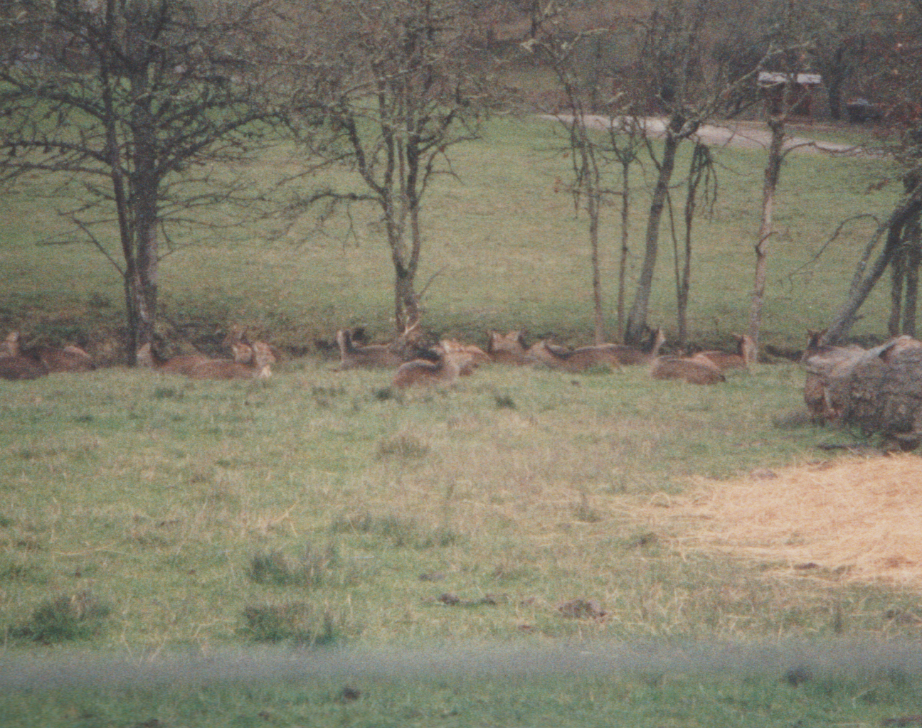 1992-12-26 - Saturday - Wildlife Safari Trip, Marilyn, Crystal-09.png