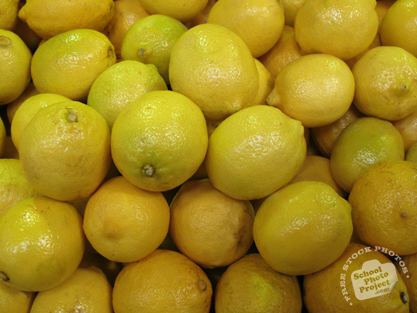 lemon-photo1-m.jpg