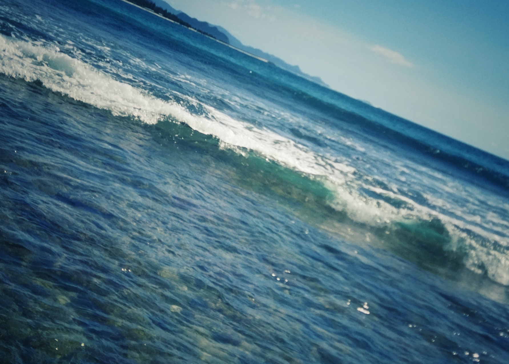 IMG_20211212_145142-01.jpeg