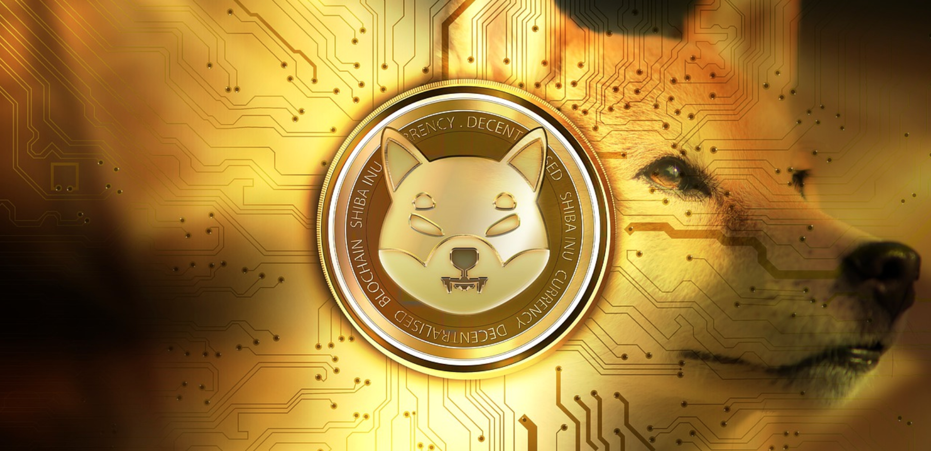 Shiba Inu coin, on a fun $1 themed background.