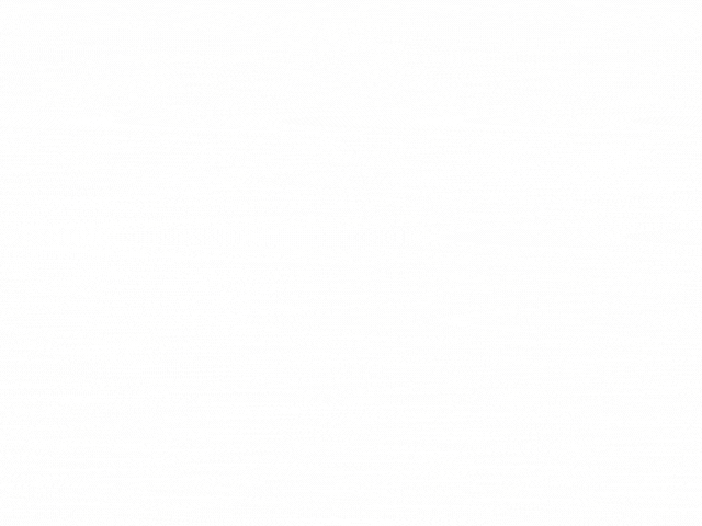 Diptera (1).gif