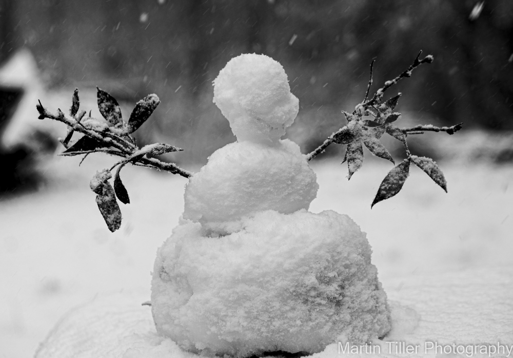 Snowfall black and white (1 of 6).jpg