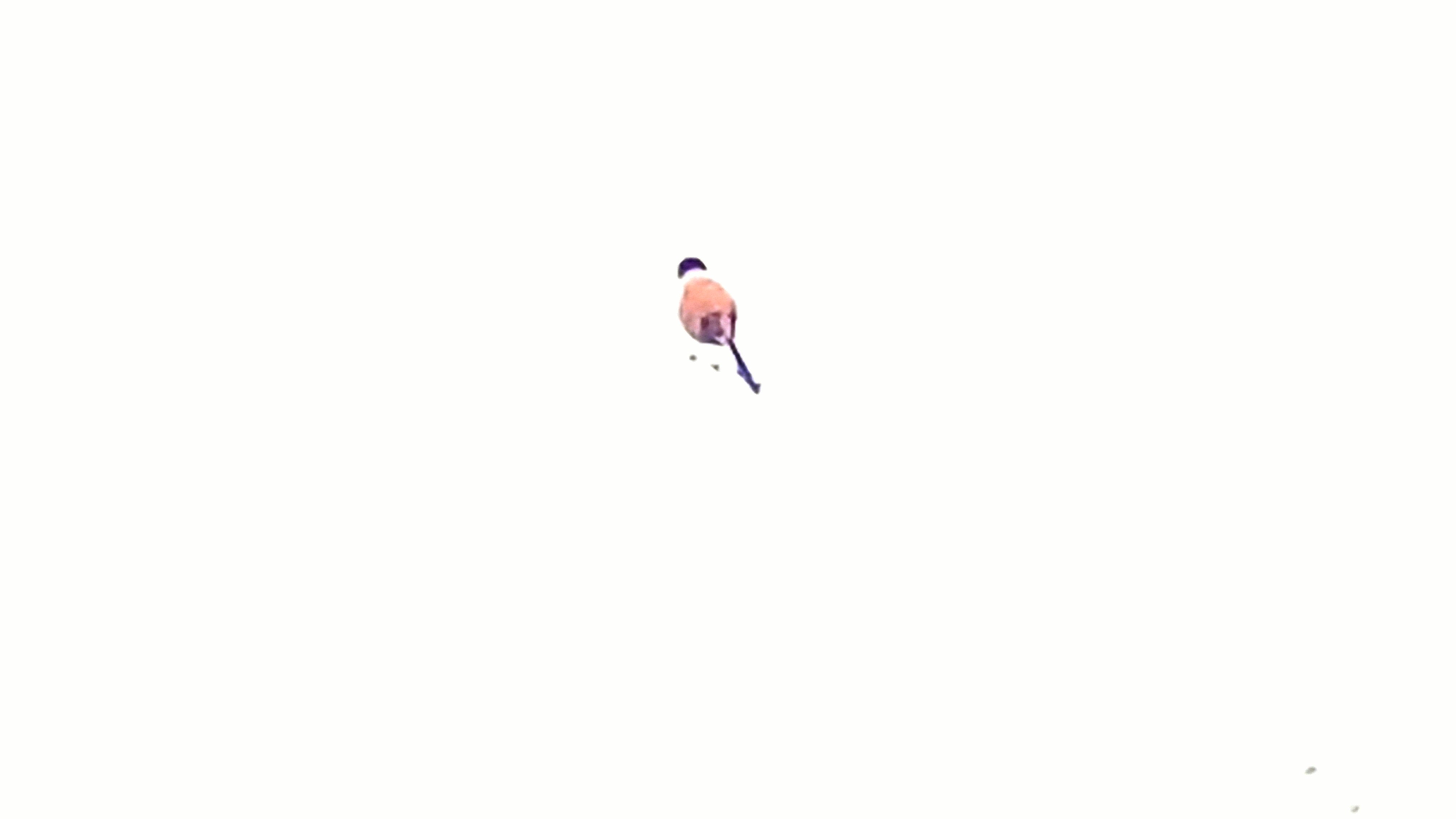 20250321_162217~2.jpg