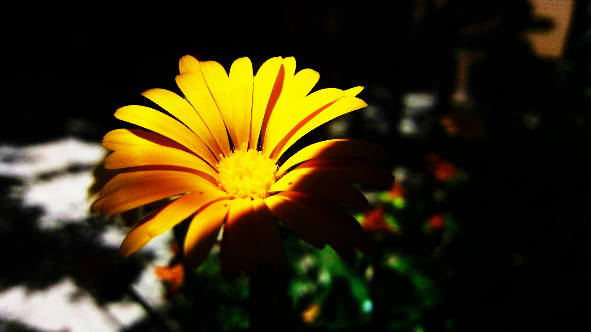 CYMERA_20200519_102100.jpg