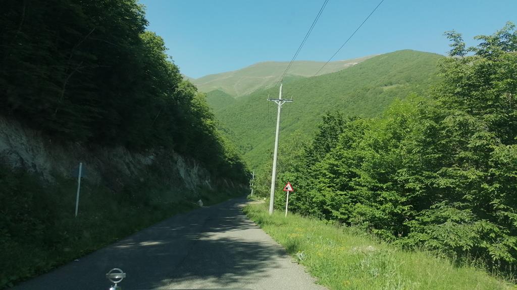 IMG_20250531_093332.jpg