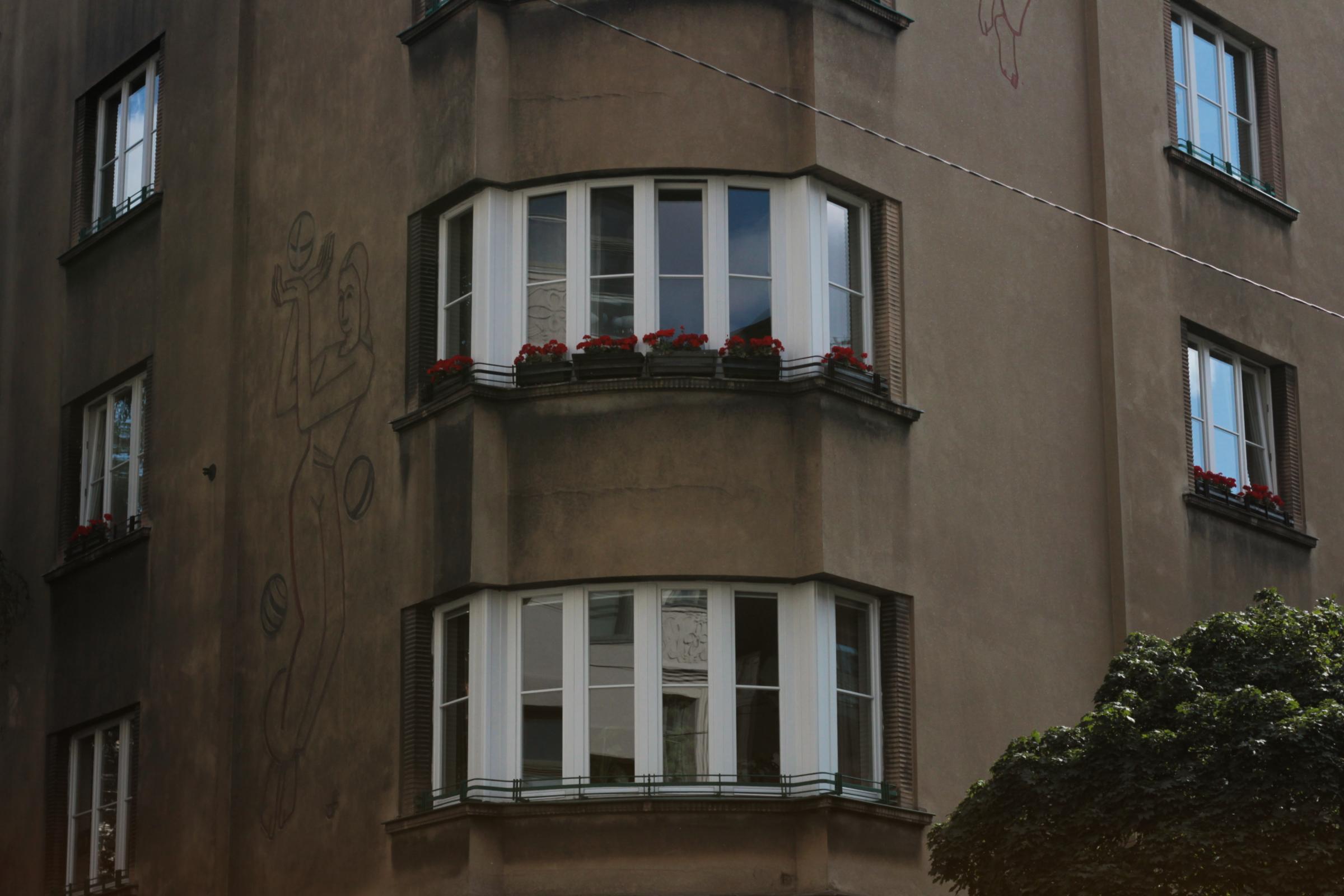 IMG_7650-crop.JPG