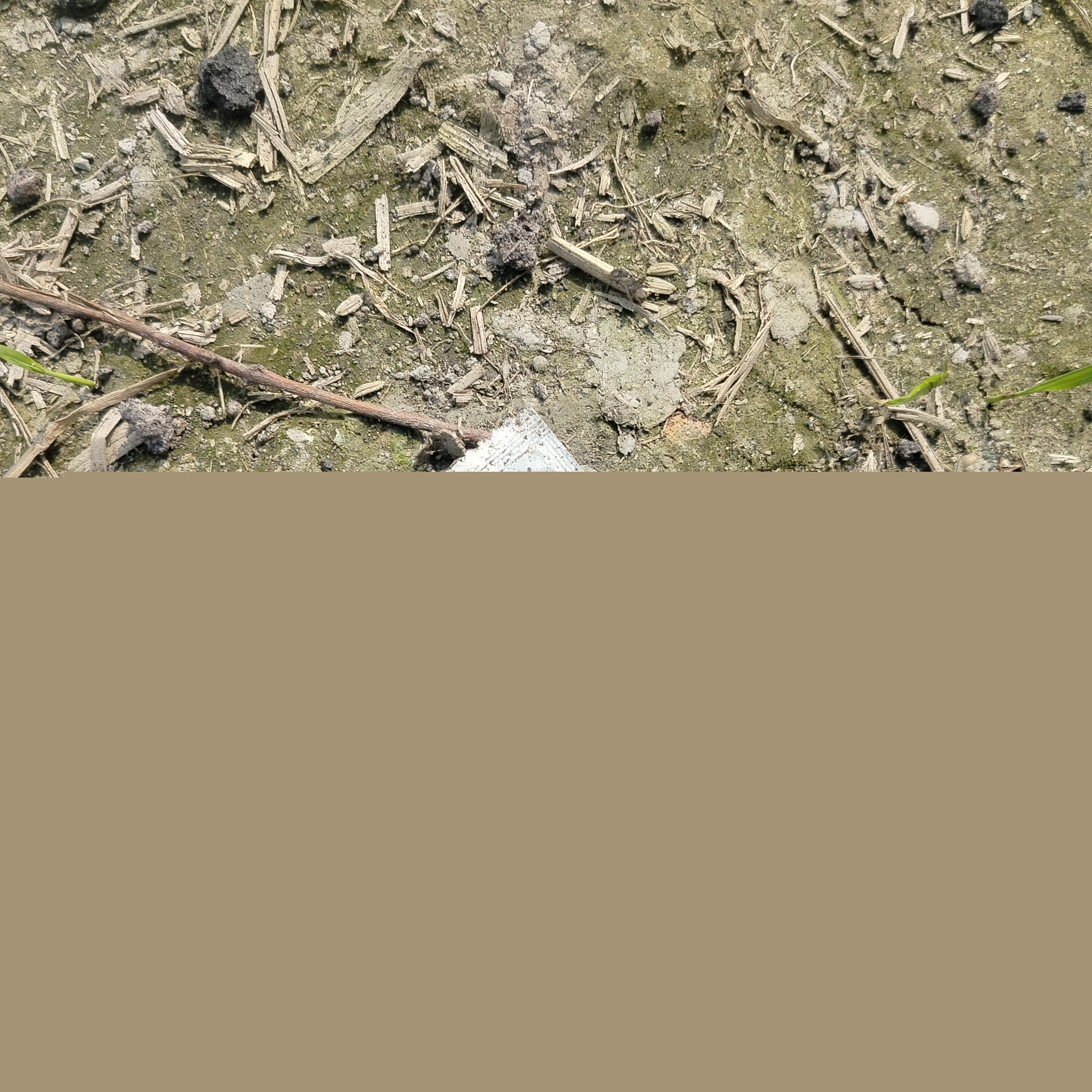 IMG20250206115328.jpg