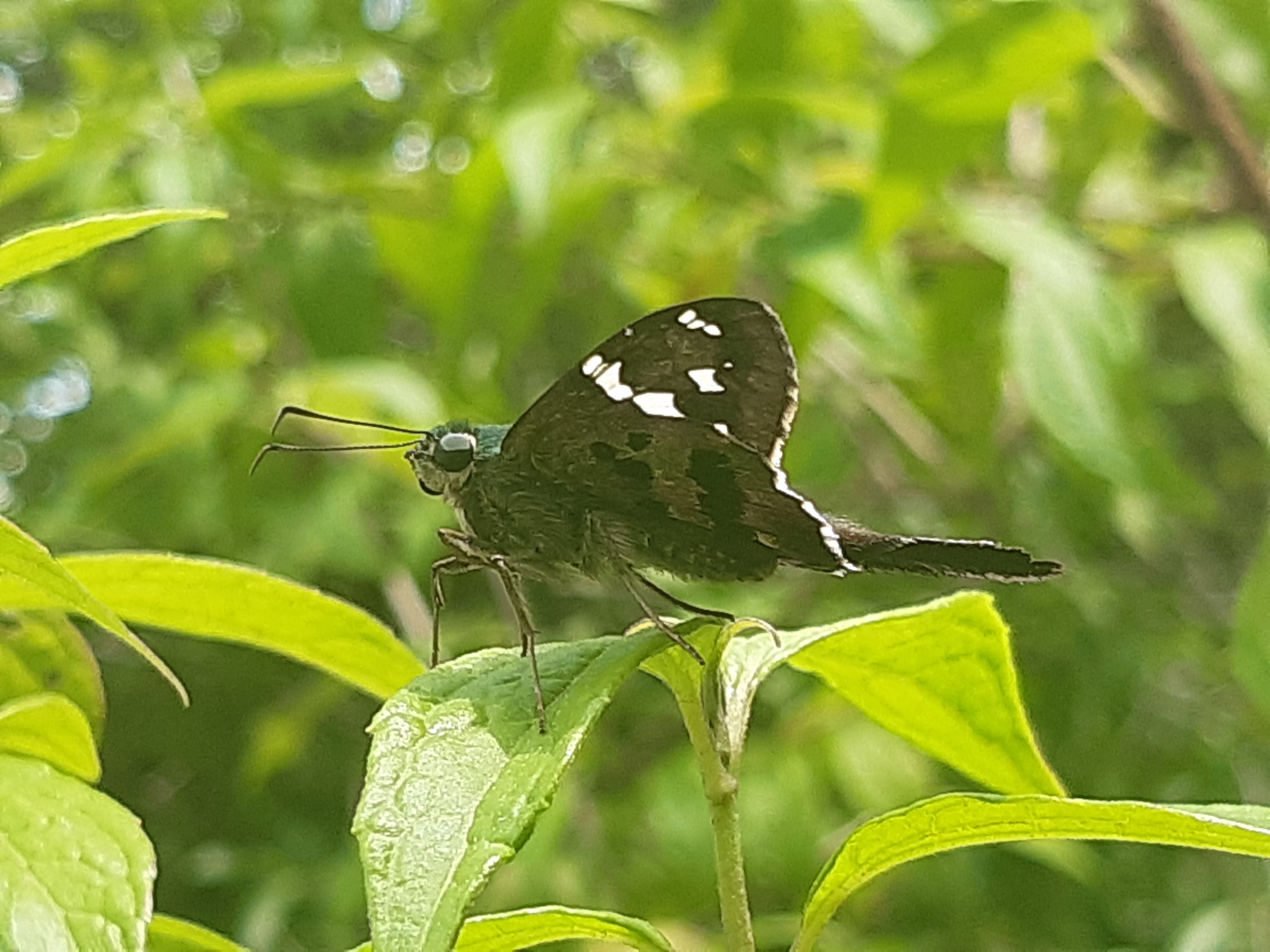 20220925_125831.jpg