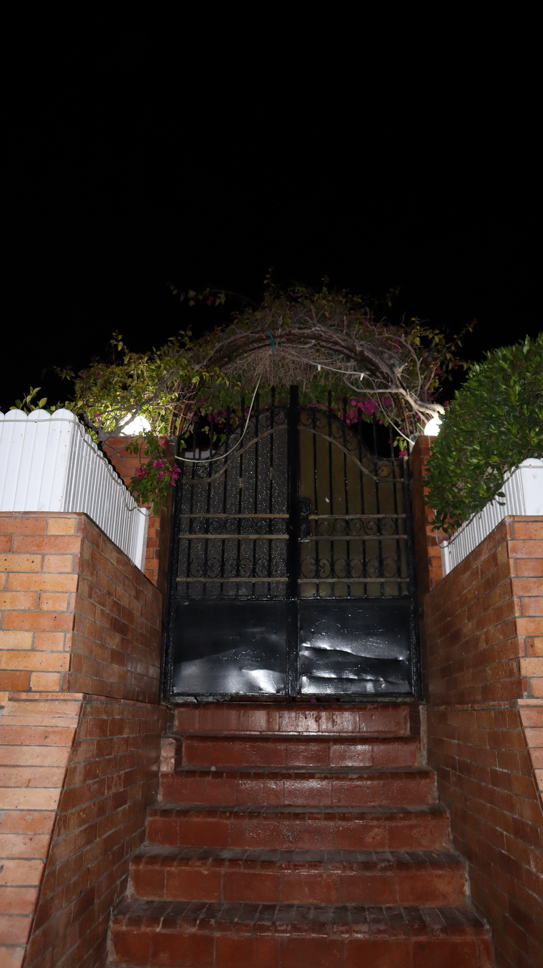 IMG_2868_copy_1891x3368.jpg
