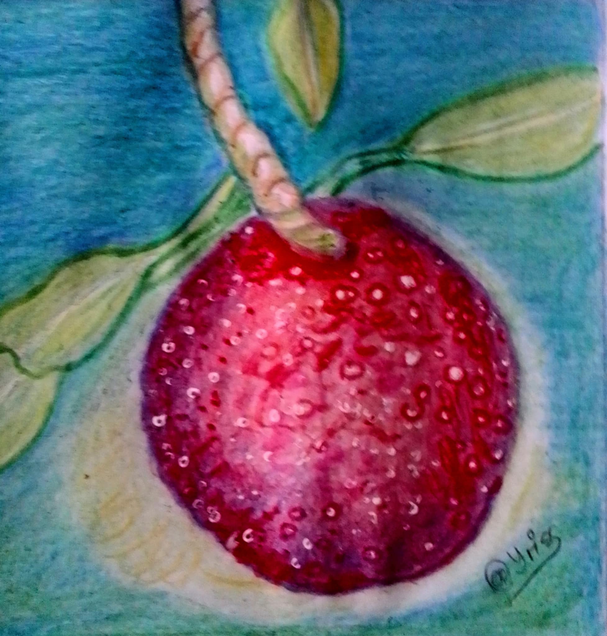 lichi3.jpg