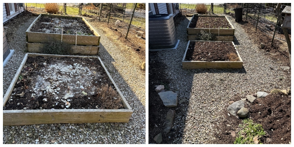gardenhive-cleanup-4.jpg