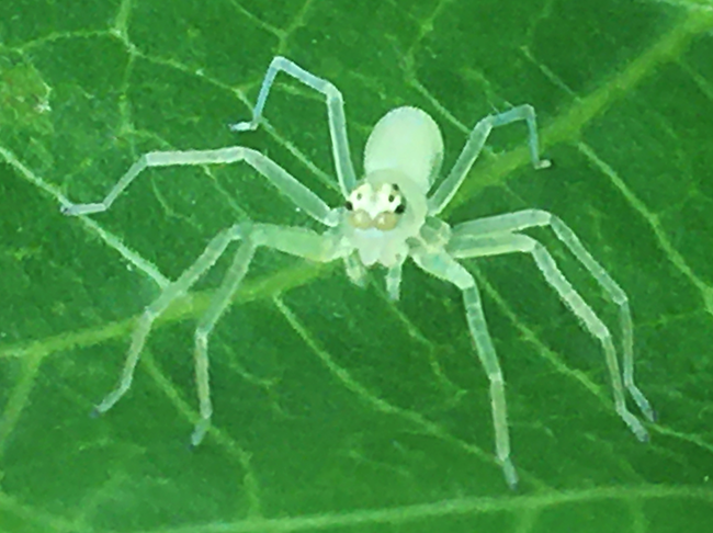 IMG_5657a.png