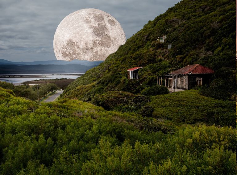 Untitled design (2).jpg