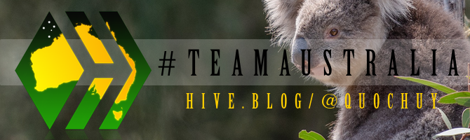 team-australia-hive-badge-slim-koala-quochuy.png