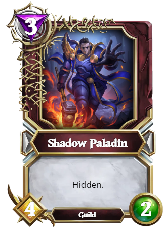 Shadow Paladin.png