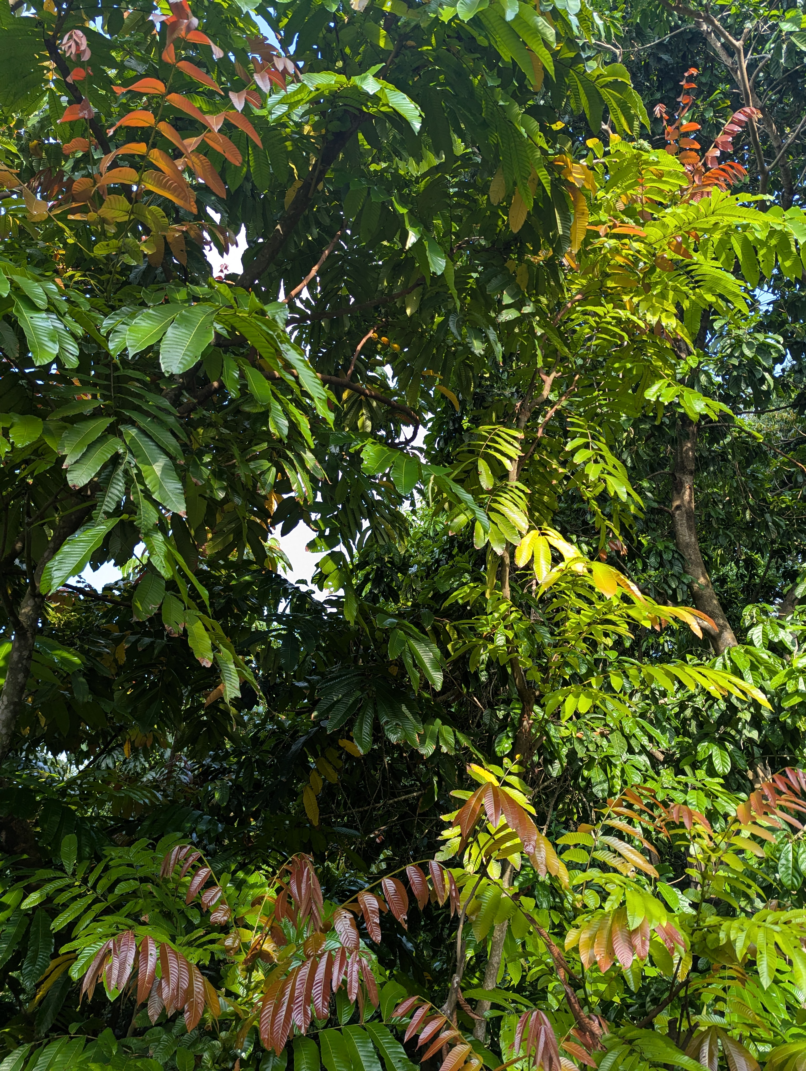 PXL_20250502_084556800.jpg