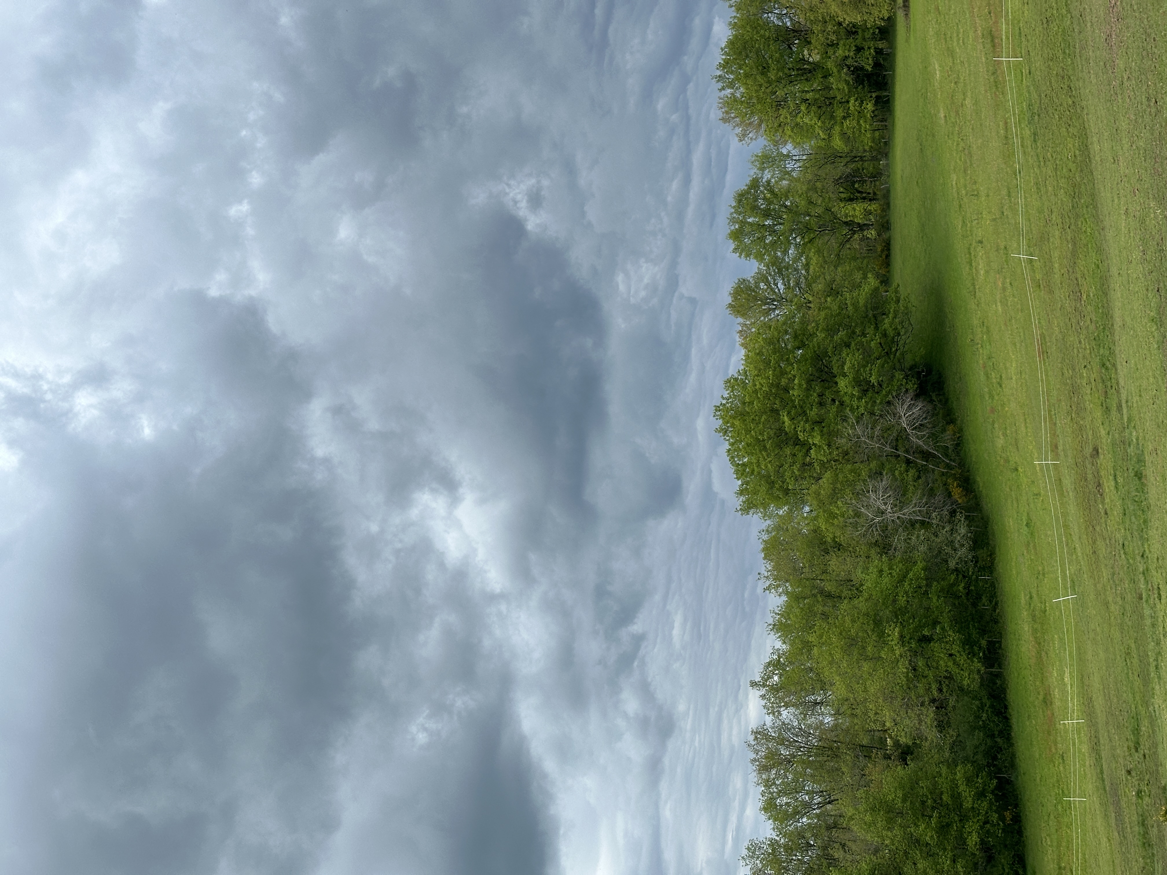 IMG_2304.jpeg