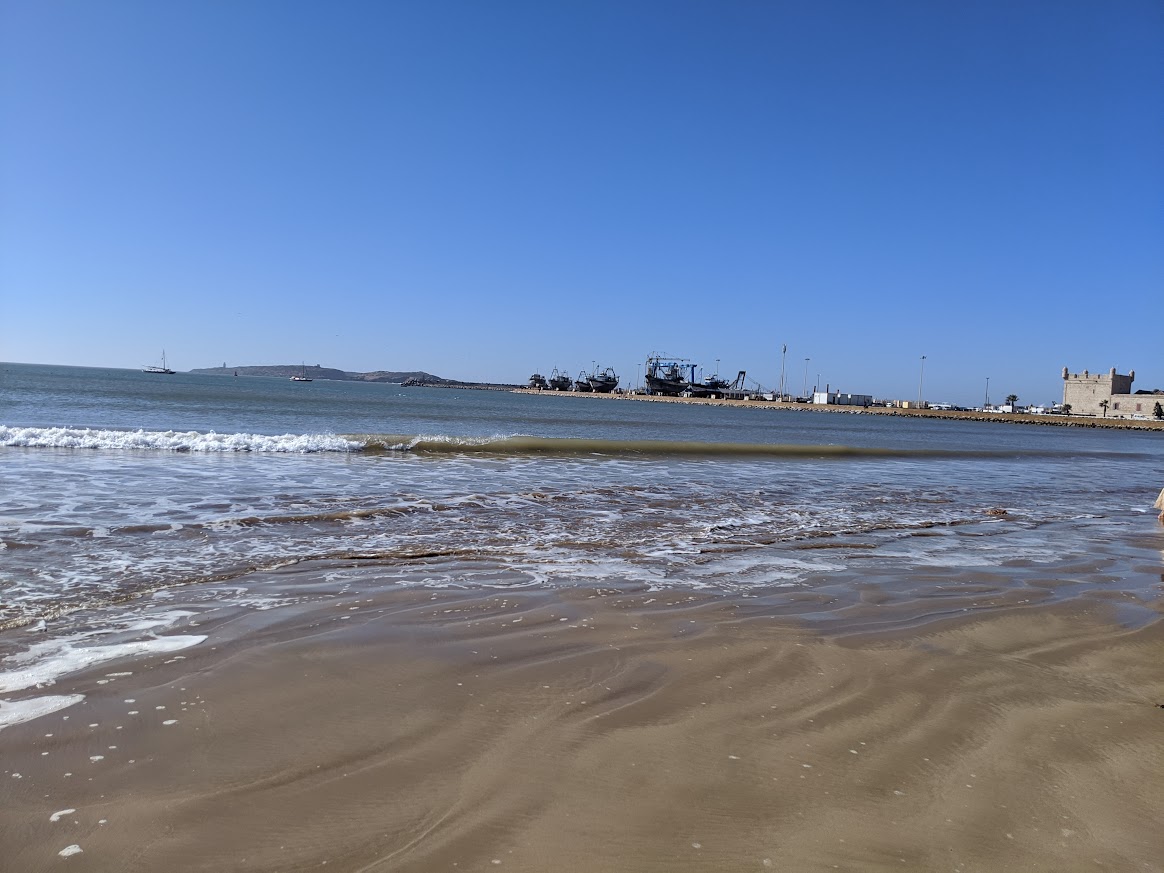 IMG_20191210_125604.jpg
