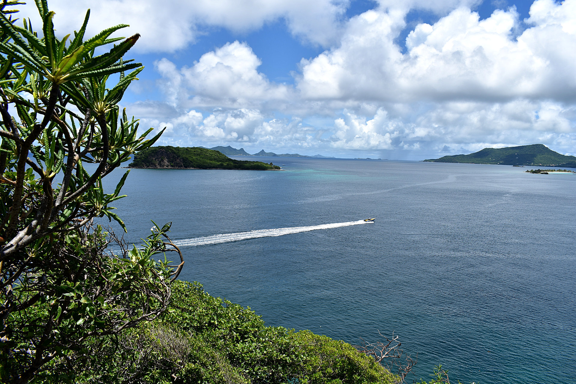 Carriacou-28.jpg