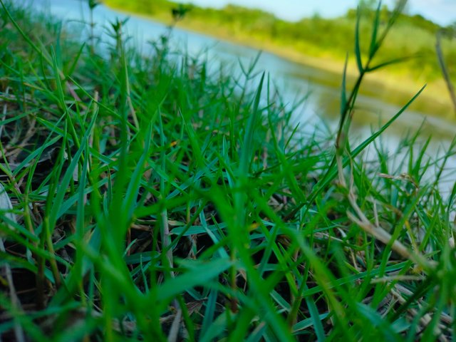IMG_5292900.JPG