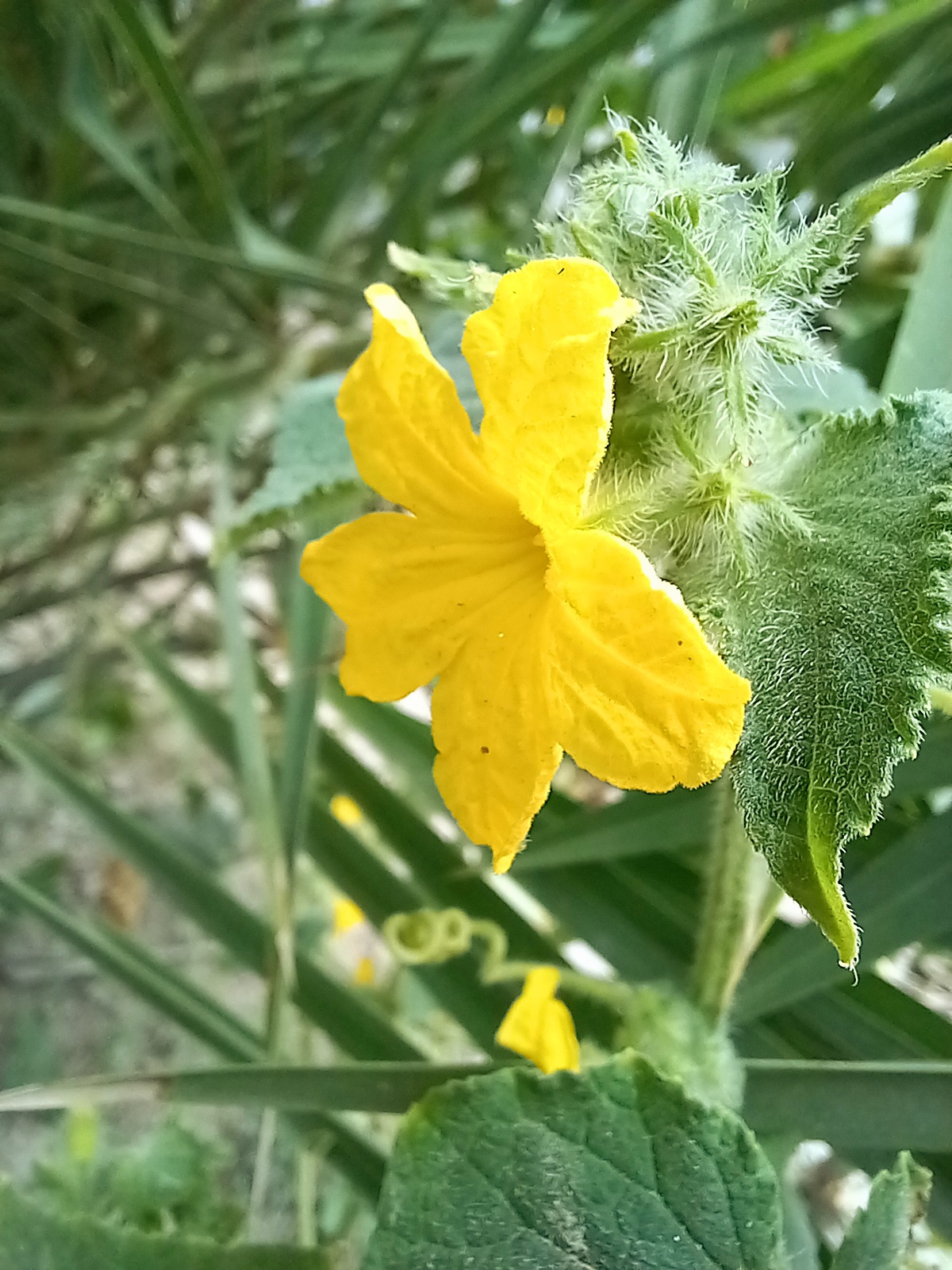 20220715_110125.jpg