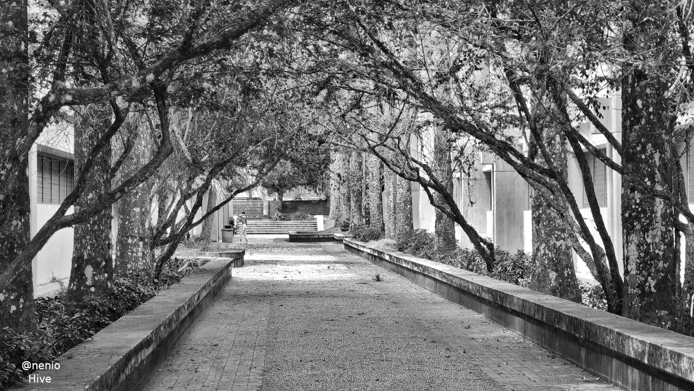 tunnel-efffect-002-bw.jpg
