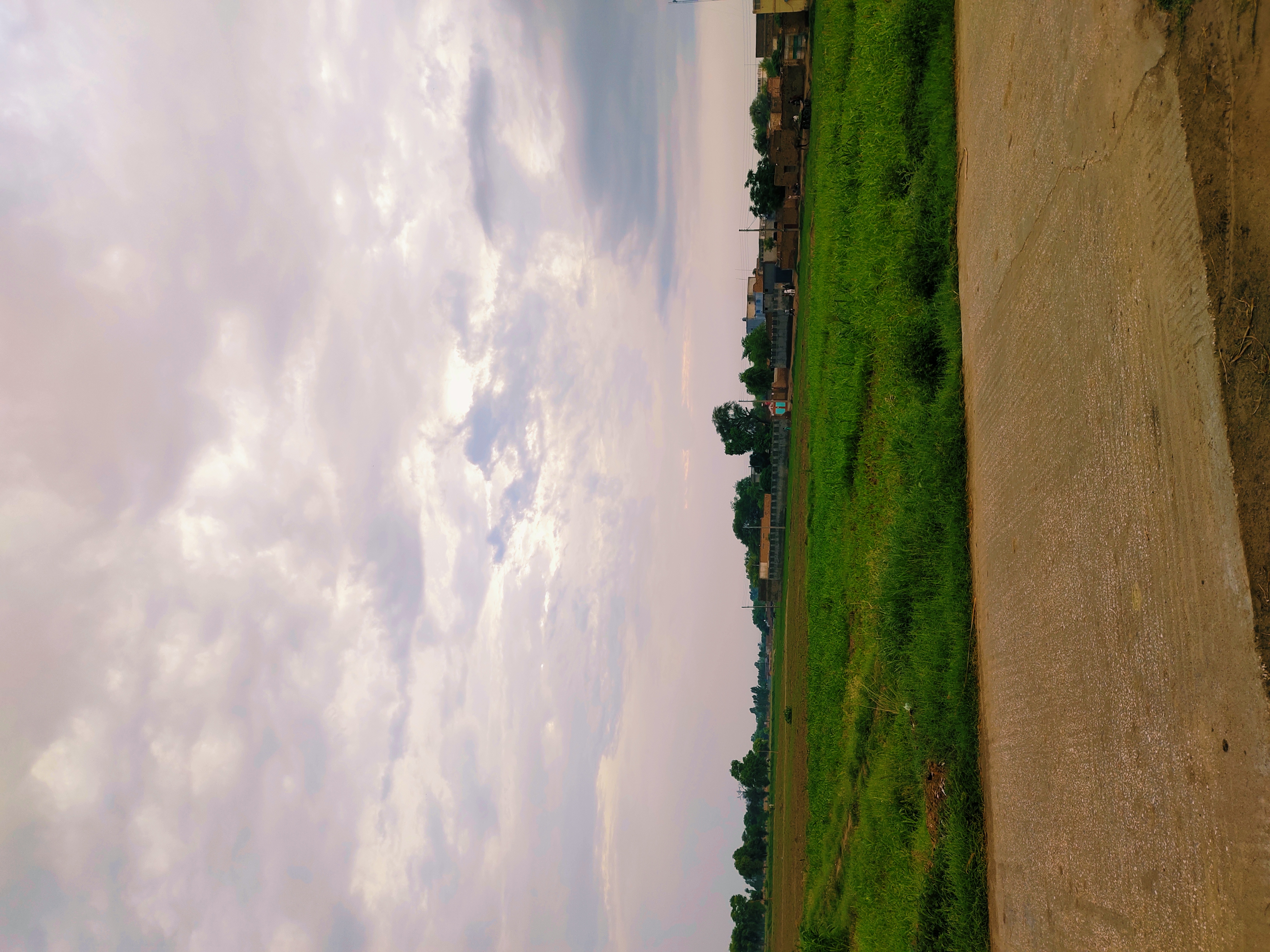 IMG_20220731_184736.jpg