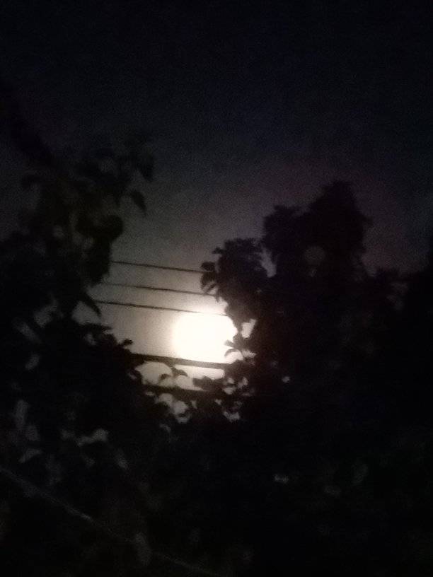 luna.jpg