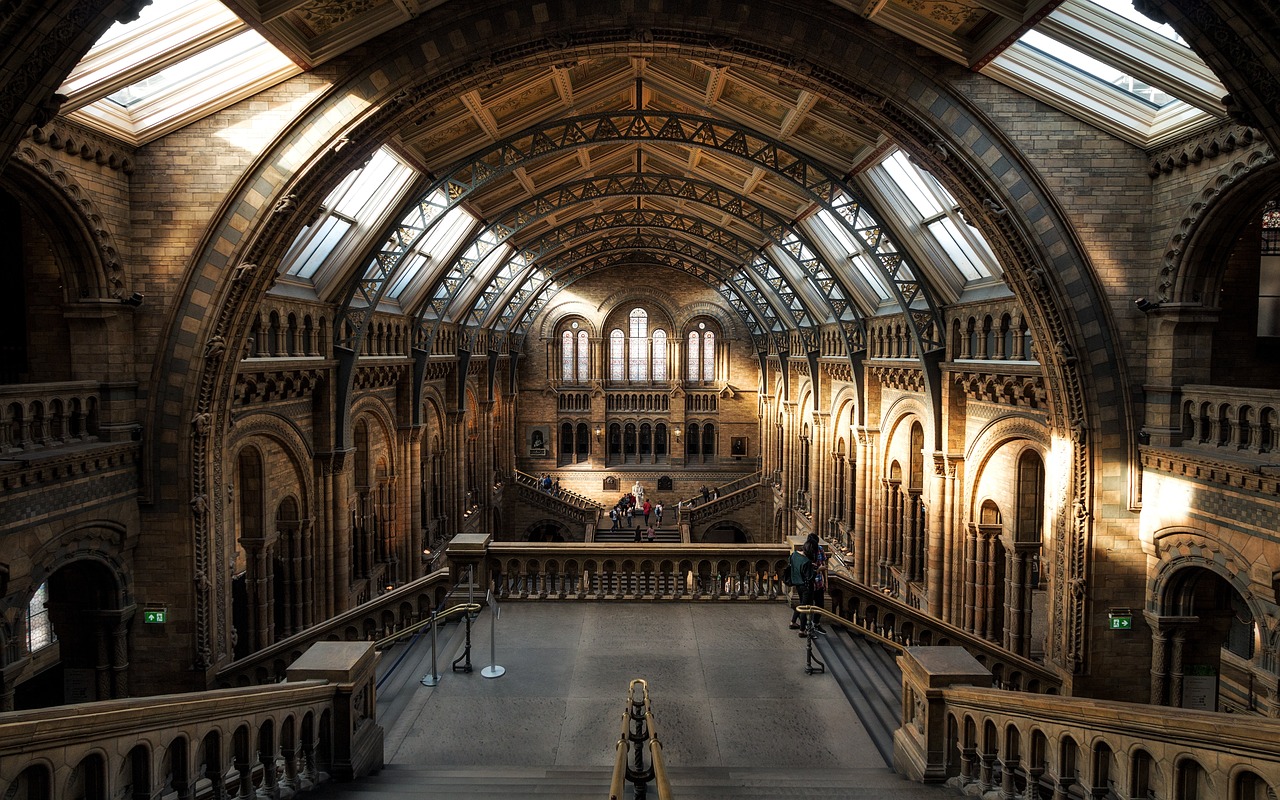 natural-history-museum-2203648_1280.jpg