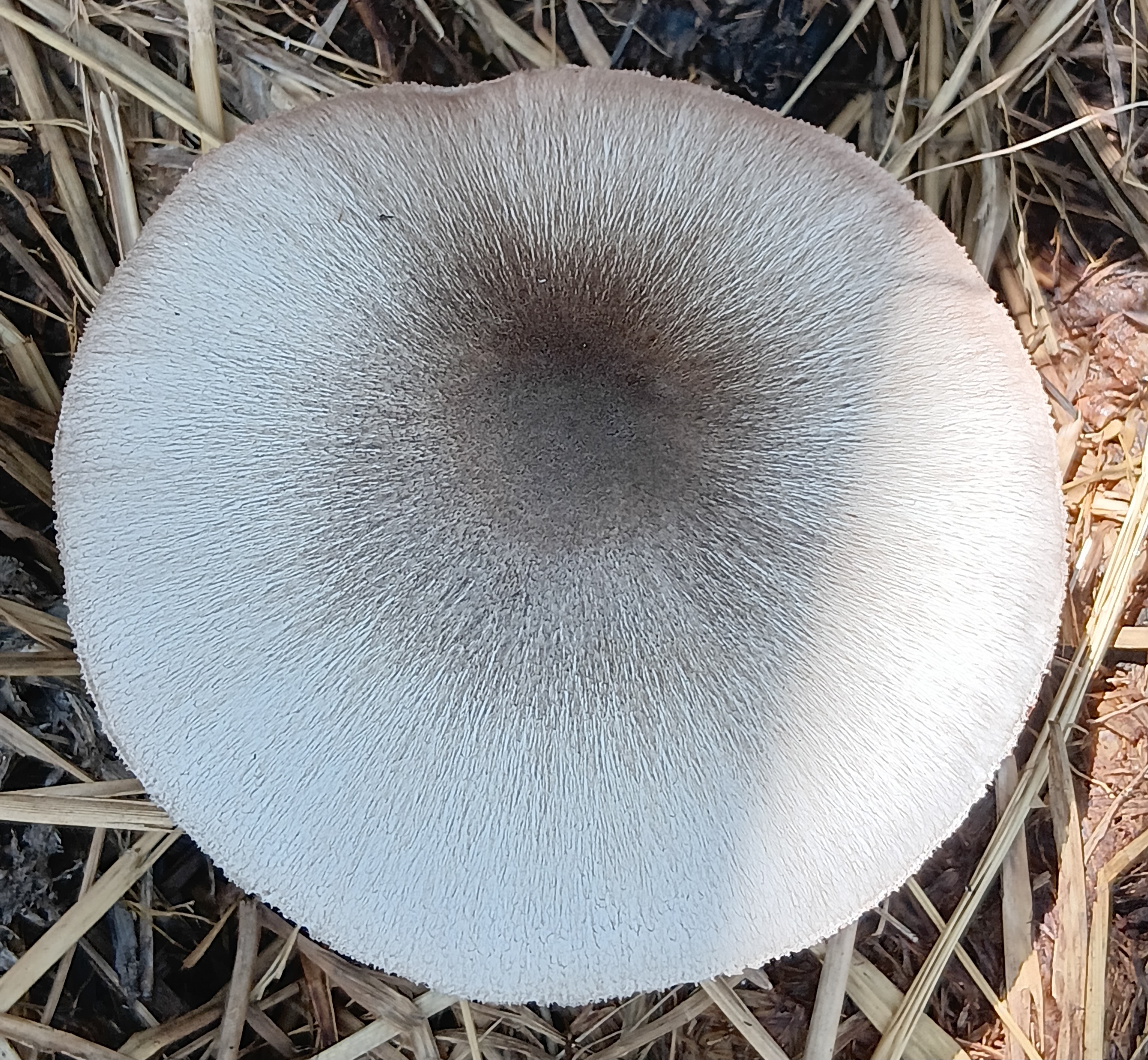 20250826_105652.jpg