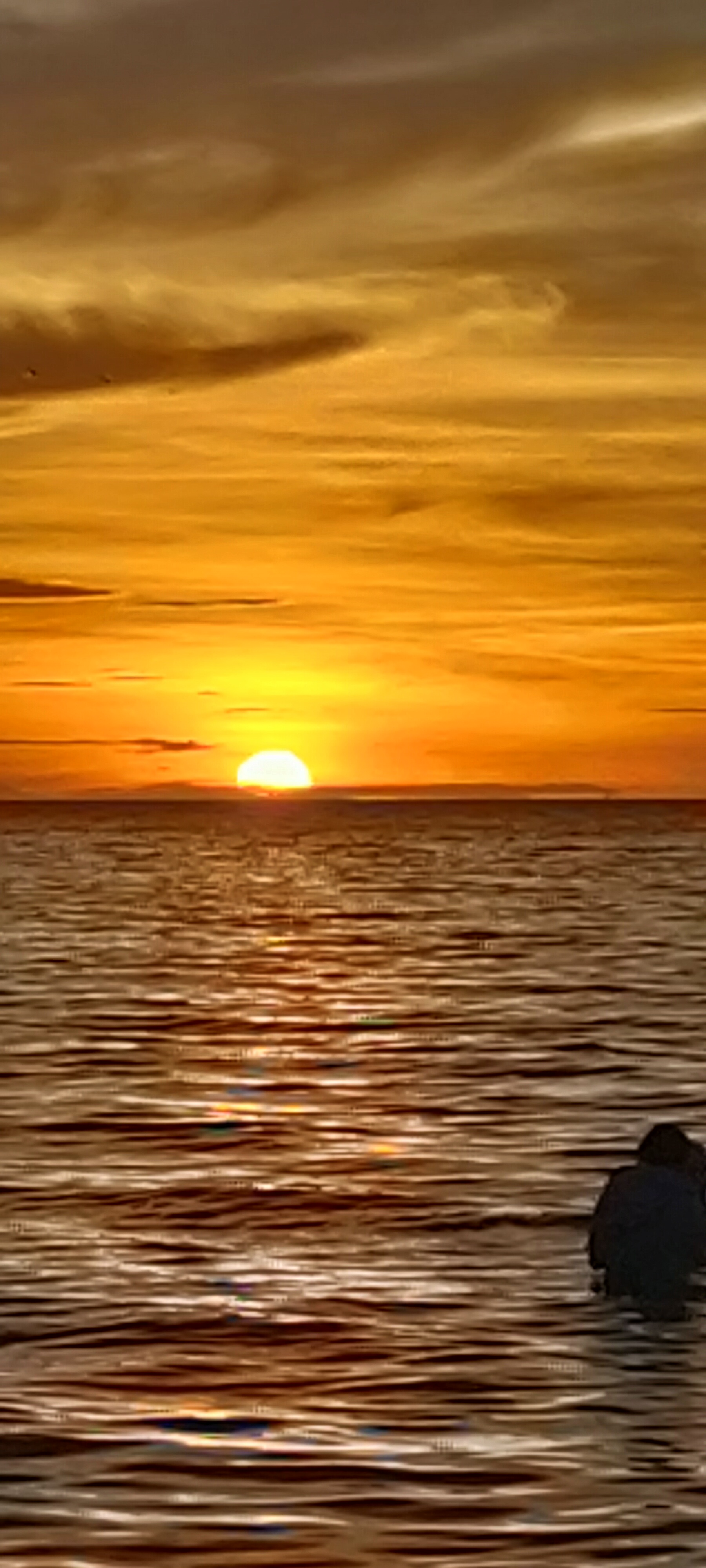 IMG20230401175330.jpg