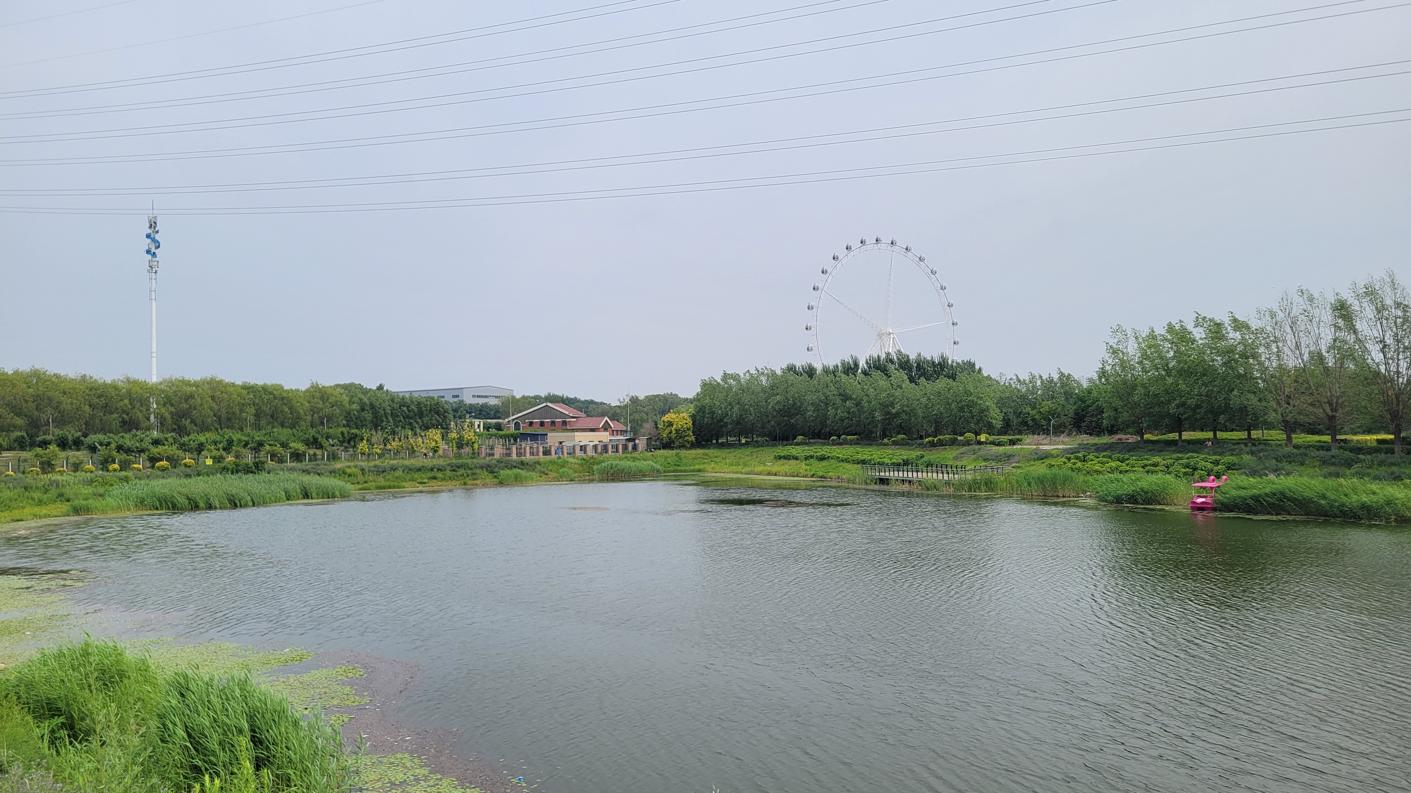 20240621_134639.jpg