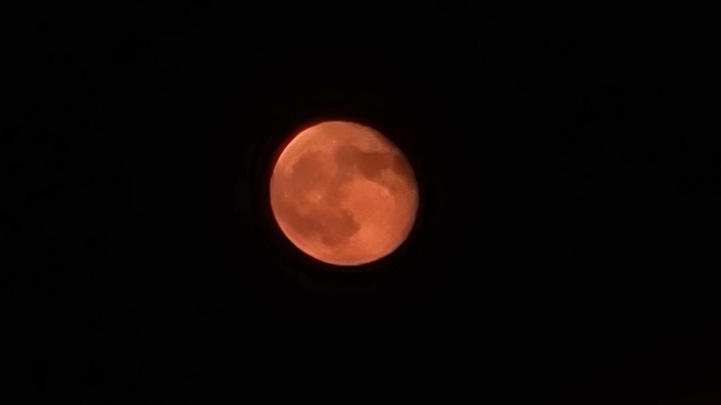 20240821_205316.jpg