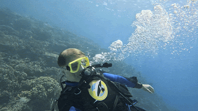 GX010748_1746981926237(1).gif