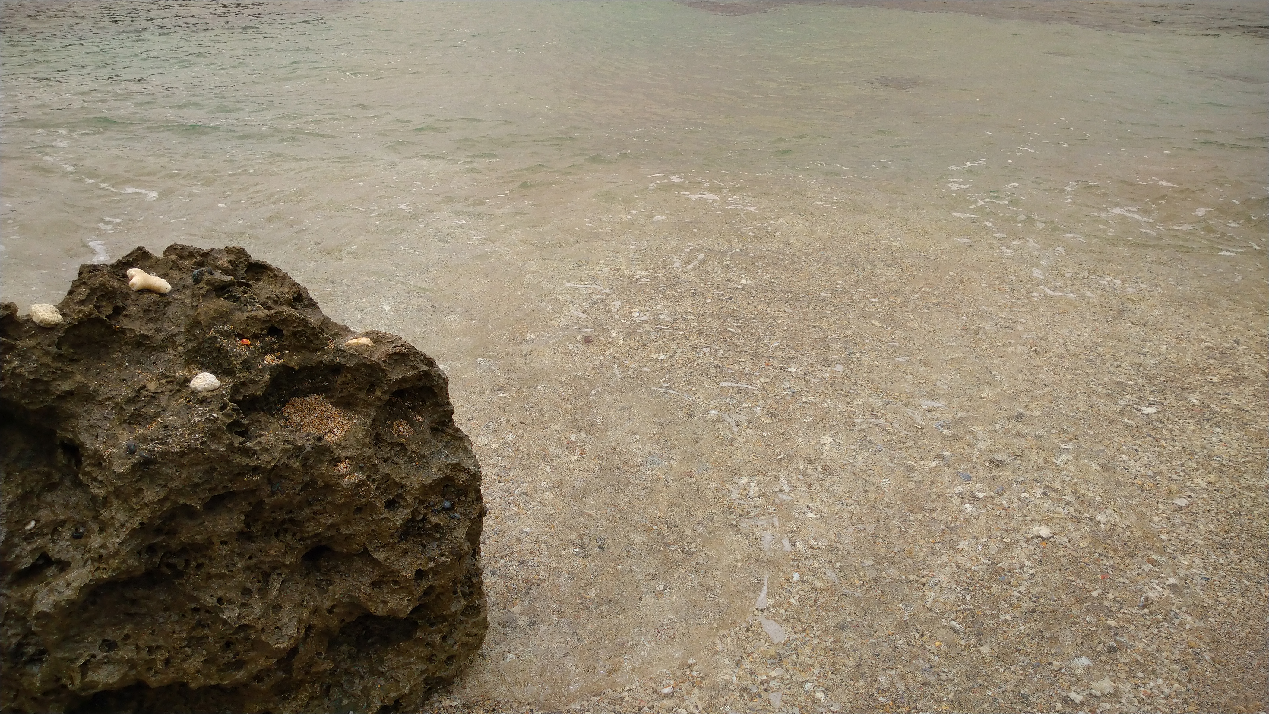DSC_8122.JPG