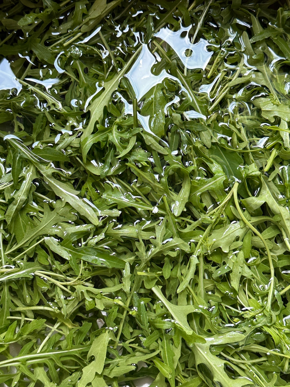 hivegarden-italian-greens.jpg
