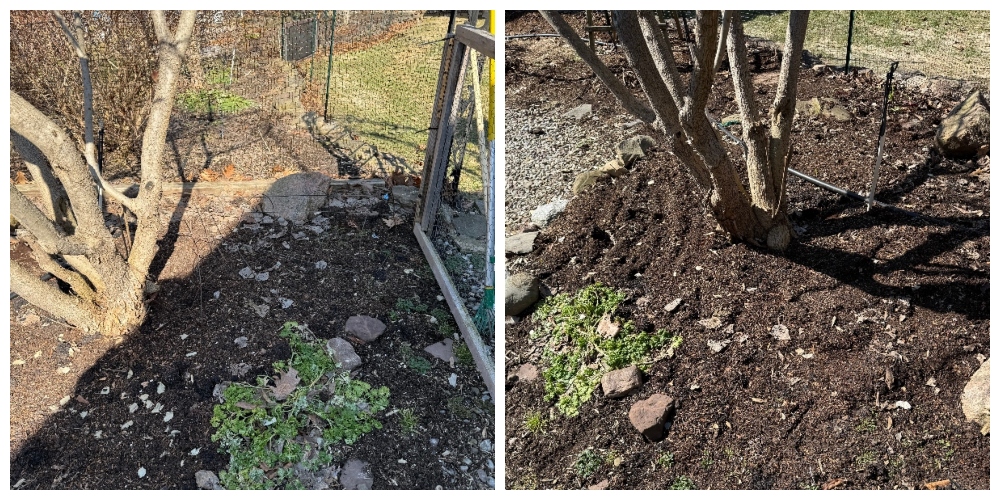 gardenhive-cleanup-1.jpg