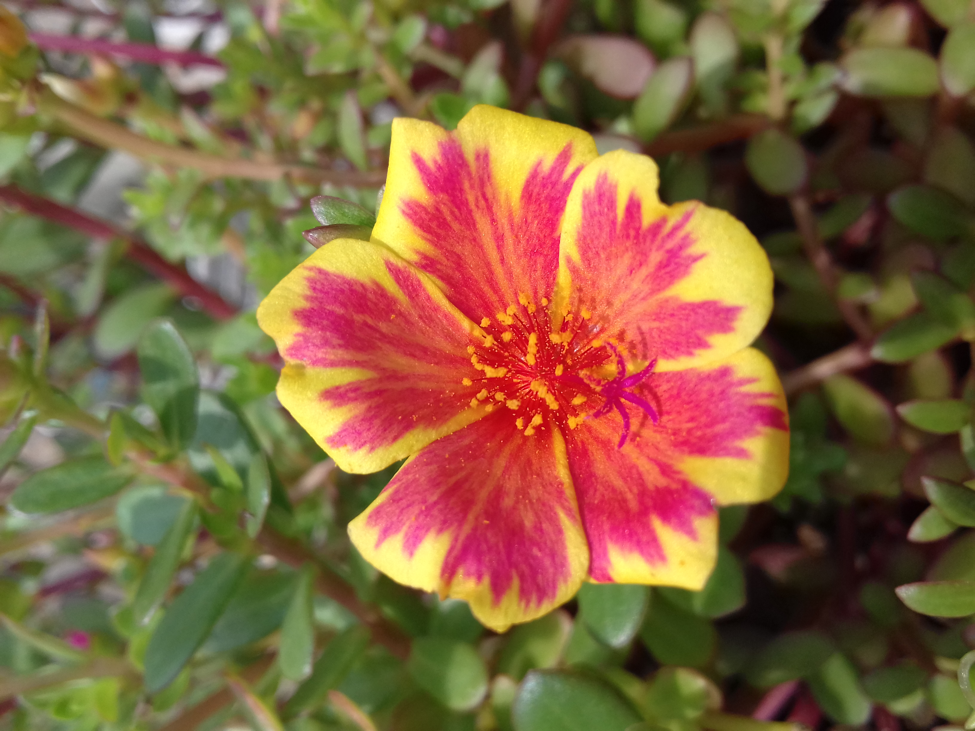 20190717_105239.jpg