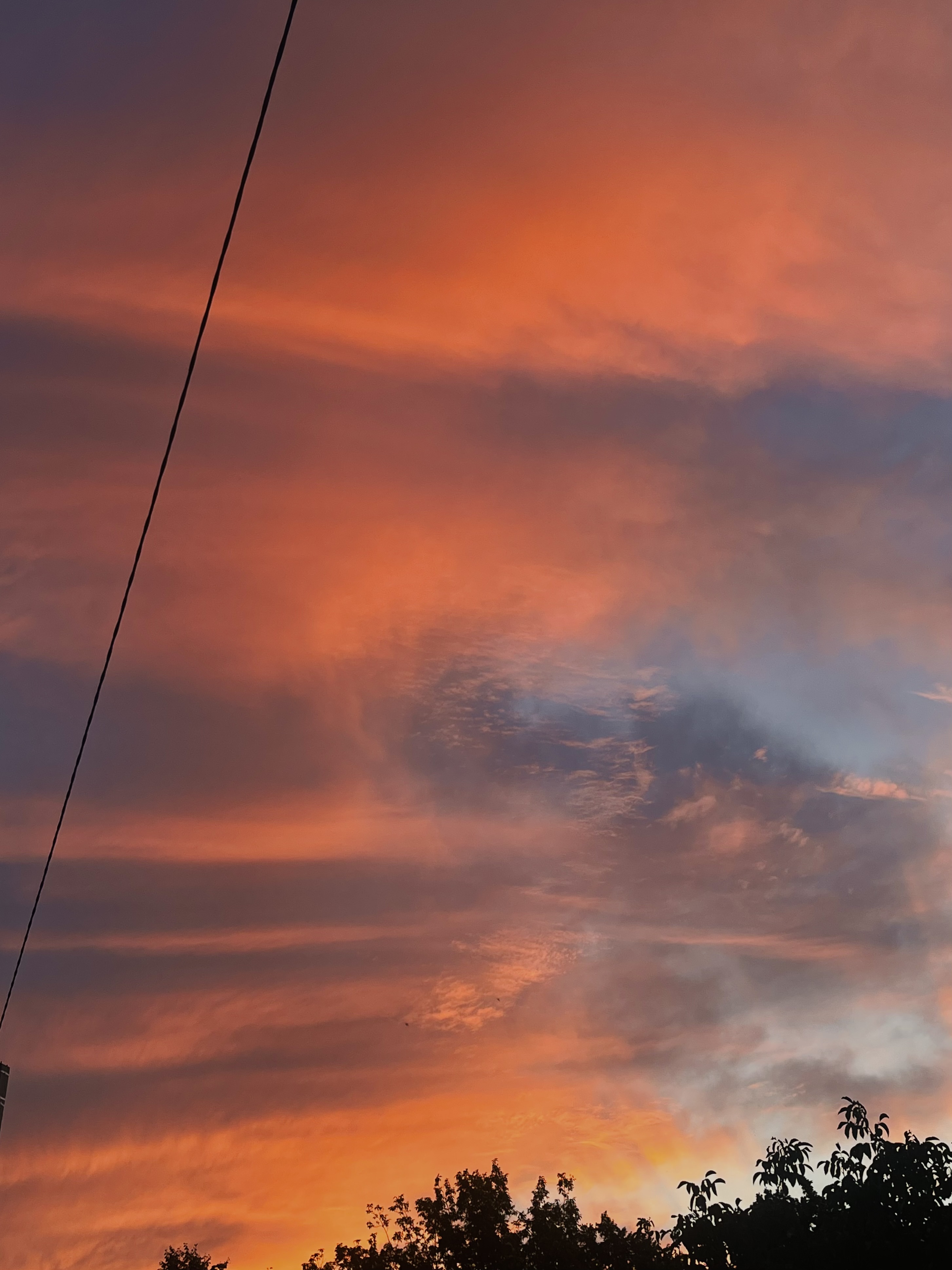 IMG_5431.jpeg