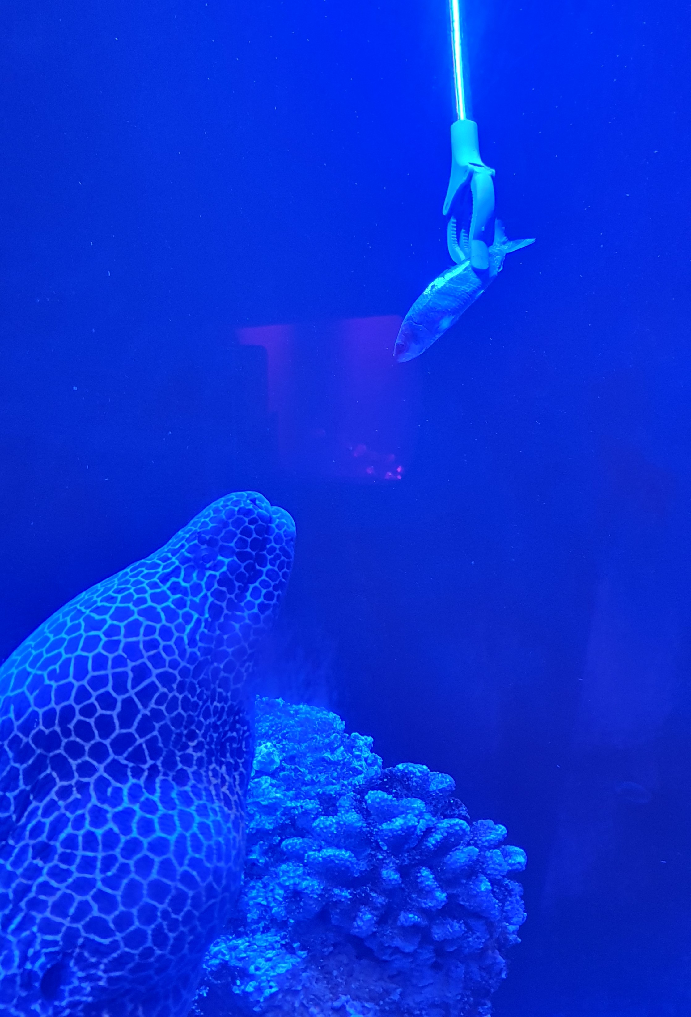 20221122_154734.jpg