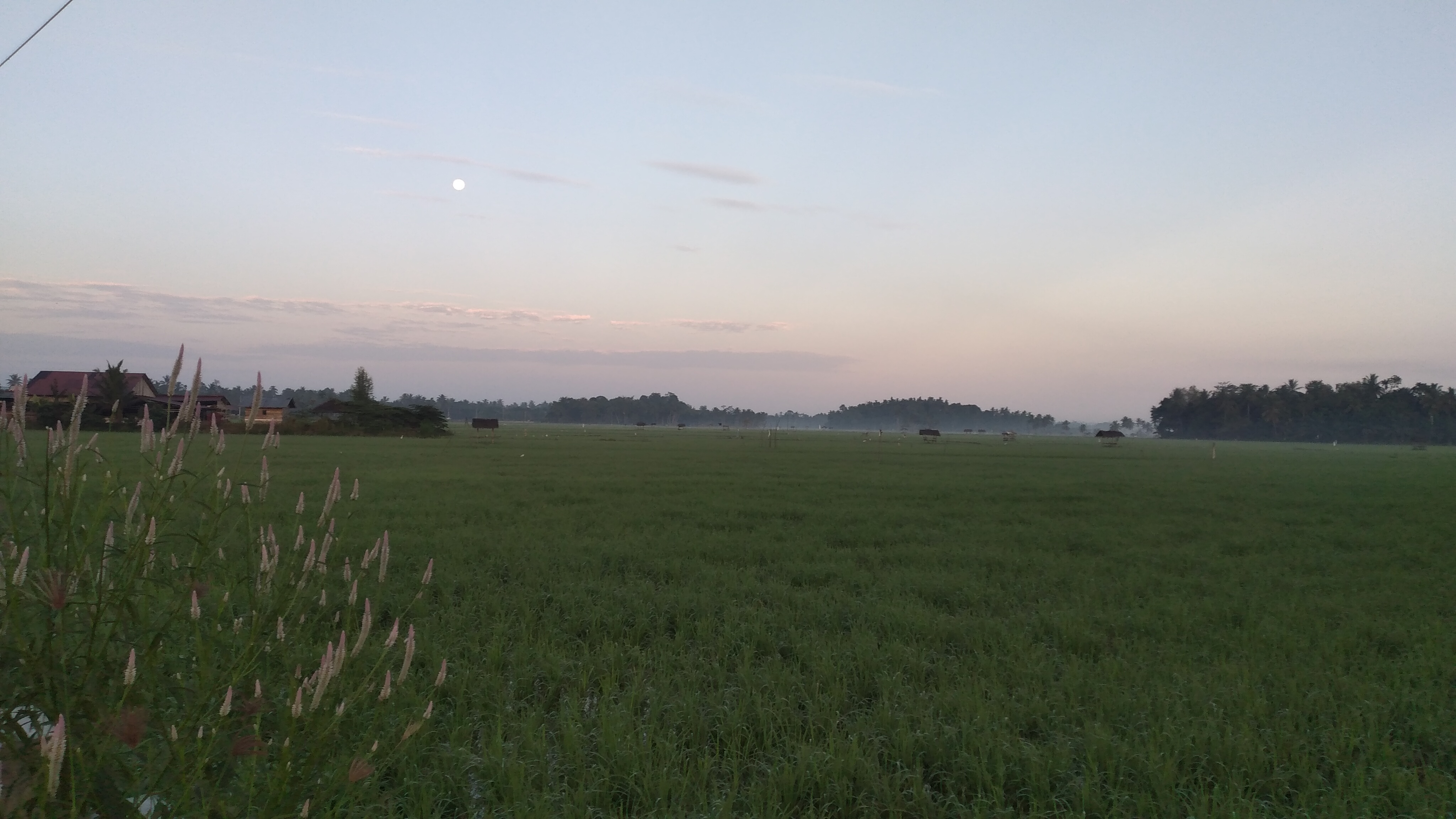 20240226_070046.jpg